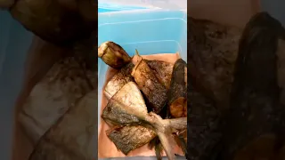 sweet potato part 1