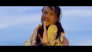 jah prayzah kwayedza official music video 