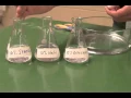 Investigation 2 - Diffusion Through a Membrane Introduction