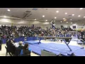 Leah Clapper BM Level 10 Gym America Wolverine Invite