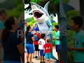 Download Lagu Celebrate Shark Awareness Day