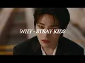 Download Lagu WHY - STRAY KIDS Easy Lyrics [RE:REVENGE OST]