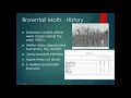 2022 invasive insects webinar series Day 1
