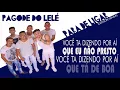 PARA DE LIGAR - PAGODE DO LELÉ (APRENDA A CANTAR)
