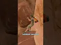 Download Lagu 127 HOURS trapped in a CANYON