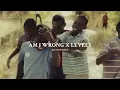AM I WRONG X LEVELS (Nico&Vinz, Avicii) [Jr Stit Mashup]