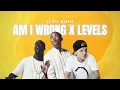 Download Lagu AM I WRONG X LEVELS (Nico\u0026Vinz, Avicii) [Jr Stit Mashup]