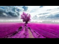 Soothing Sleep Music: Relaxing Harp Music, Sleeping, Calming, Fall Asleep, 8 Hours Instrumental ★67