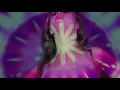 Healing Chakra Meditation in Under 10 Minutes