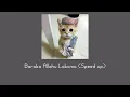 Download Lagu Maher Zein - Baraka Allahu Lakumaa [Speed up songs - tiktok version 🎶]