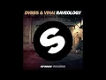 DVBBS & vinai - raveology (remix)