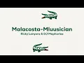 Mluusician, Ricky Lenyora, DJ Maphorisa - Malacosta ft. Vulela Maweekend (Visualizer)