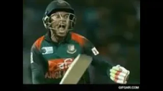 Cricket Win GIF gif cricket GIF gif