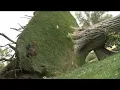 Five years later Remembering Utah s 2020 hurricane-force windstorm