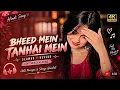 Bheed Mein Tanhai Mein(Slowed+Reverb) Lofi Version Song | Udit Narayan & Shreya Ghoshal | Hindi Song