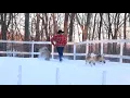 Apexxakitas Building Drive