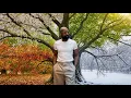 Seasons - Marquise Gold Fresh Start Worship