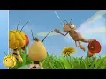 Download Lagu Maya de Bij - Een bloem om te delen