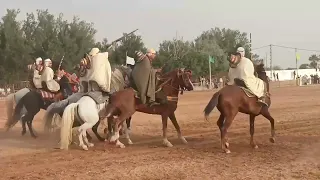 وعدة سيدي خليفة الخيثر 2025 علفة ألياس بن دحو 