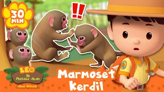 PERTARUNGAN MONYET DI ATAS POHON! | Leo Si Penjaga Alam | Kartun Edukasi Anak