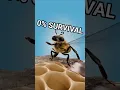 Lagu How honey is made ⁉️🐝 Use Code: OnlyKrysis in Item Shop 🙏 #fortnite #fortniteshorts #shorts #funny