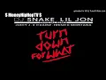 Lil Jon - Turn Down For What (Remix) Ft. Juicy J, 2 Chainz & French Montana.