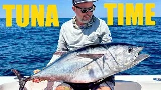 Jigging Bluefin Tuna in New York Grilled Bloodline