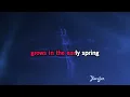 Love Is a Many Splendored Thing - Engelbert Humperdinck | Karaoke Version | KaraFun