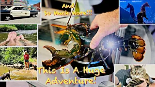 Let’s Weigh Two The Lobster - And So Much More! This Is A Huge Adventure!