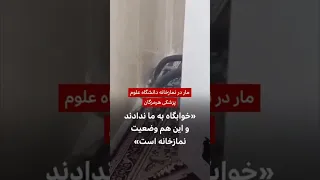 مار در کولر نمازخانه دانشگاه علوم پزشکی هرمزگان دندنها
