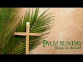 Happy Palm Sunday Palm Sunday WhatsApp Status Blessed Palm Sunday Wishes 2026