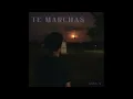 Te Marchas - Saul Villarreal