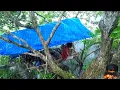 Download Lagu Berkemah dan bertahan hidup dalam hutan liar ada banyak babi liar lewat di samping shelter ku