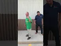 sembrando terror ZAPATA