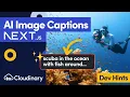 Use AI to Generate Images Captions in Next js with Cloudinary - Dev Hints