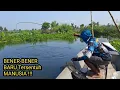 Download Lagu Ngeri-Ngeri! Spot mancing baru terjamah ikan bandeng babonnya mengganas berkali-kali