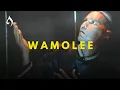 Download Lagu Wa Molee | Mukhlis Nyawoung Aceh