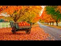 Beautiful Relaxing Music 🍁 Soothing Autumn Music For Stress Relief, Deep Relaxtion, Calm Nervous