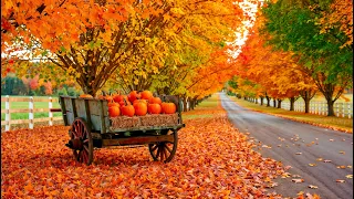 Розслаблююча музика осені Музика для зняття стресу заспокоєння нервів 