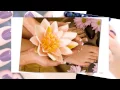 Lee Nails IN Corpus Christi TX 78413 1183