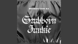 stubborn junkie