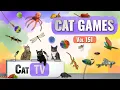 Download Lagu CAT Games | Ultieme Cat TV-compilatie Vol 151 | 8 UUR 🐝🐞🦋🦎🦜🐜🐭🧵