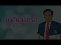 มาลัยดอกรัก - ชาย เมืองสิงห์ (Official Audio)