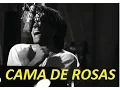 Download Lagu Bon Jovi- Cama de rosas en ESPAÑOL. (Bed of roses)