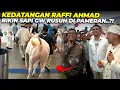 Download Lagu RAFFI AHMAD DATANG..! LANGSUNG PAWAI HEWAN DEHAKIMS..! SAPI GW RUSUH..