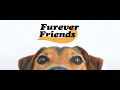 Furever Friends