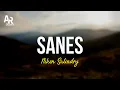 Download Lagu Sanes - Niken Salindry (LIRIK)