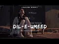 Download Lagu Dil E Umeed Tora Hai Kisi Ne | [Slowed+Reverb] | Feelers Music