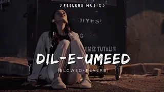 dil e umeed tora hai kisi ne slowed reverb feelers music