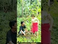 Download Lagu katipu 🤣#bodoran #comedisunda #lucu #ngakak